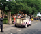 Pink Regal Landaulette Wedding Car